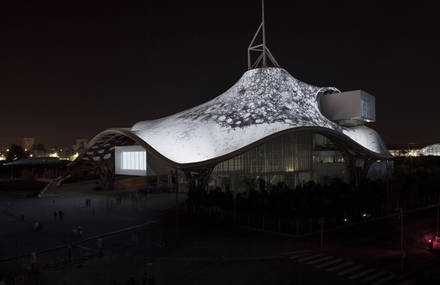 Paleodictyon, a site specific installation about code, architecture and bacteria farming
