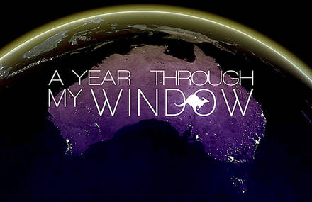 A Year Through My Window