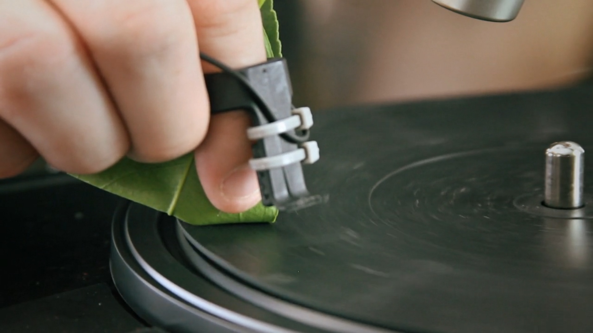 Duet for Leaves & Turntable2