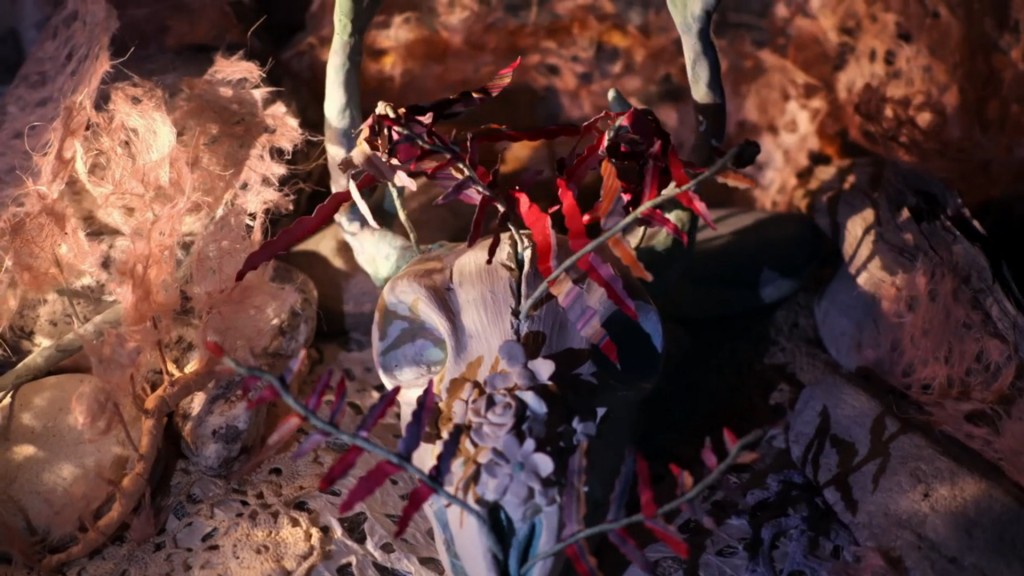 Iron and Wine Joy Media