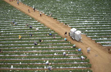 Kite Aerial Photography
