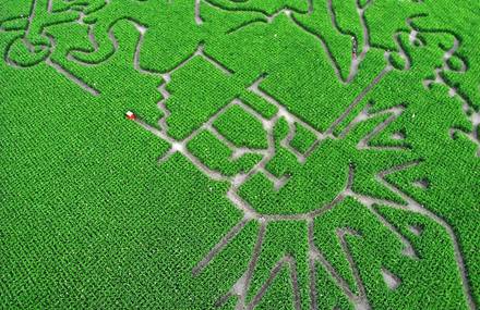 Kite Aerial Photography