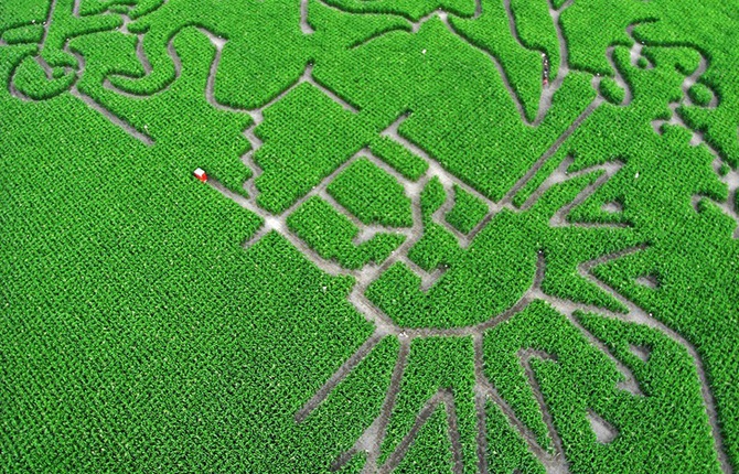 Kite Aerial Photography