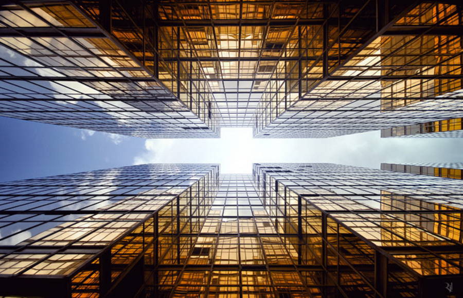 Vertical Horizon