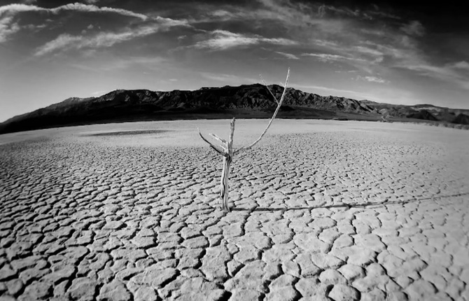 Wolfs Law – The Joy Formidable