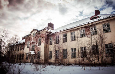 The Asylum