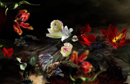 Inland photography & disordered landscapes