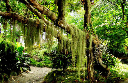 Jakarta: Documentary on Environmental Awareness