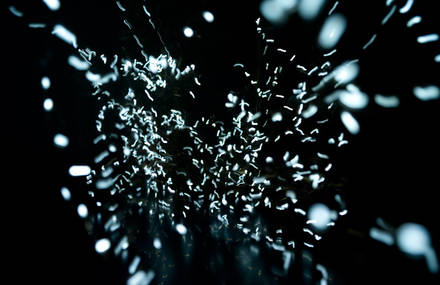 3 Installations of animated light sculptures by artist Rémi Brun