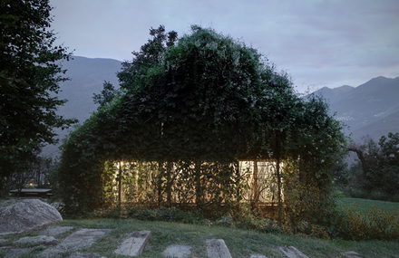 Greenbox House