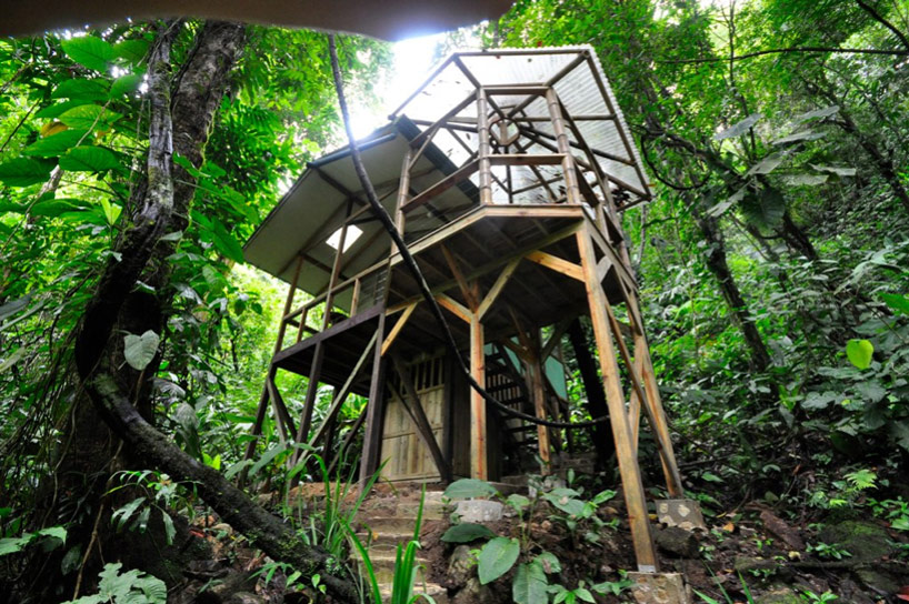 Sustainable TreeHouse5