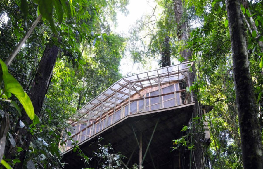 Sustainable TreeHouse