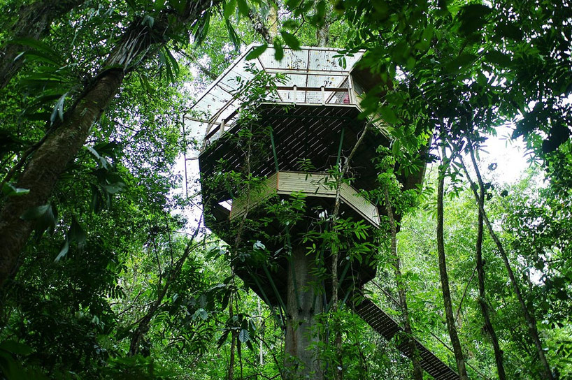 Sustainable TreeHouse7