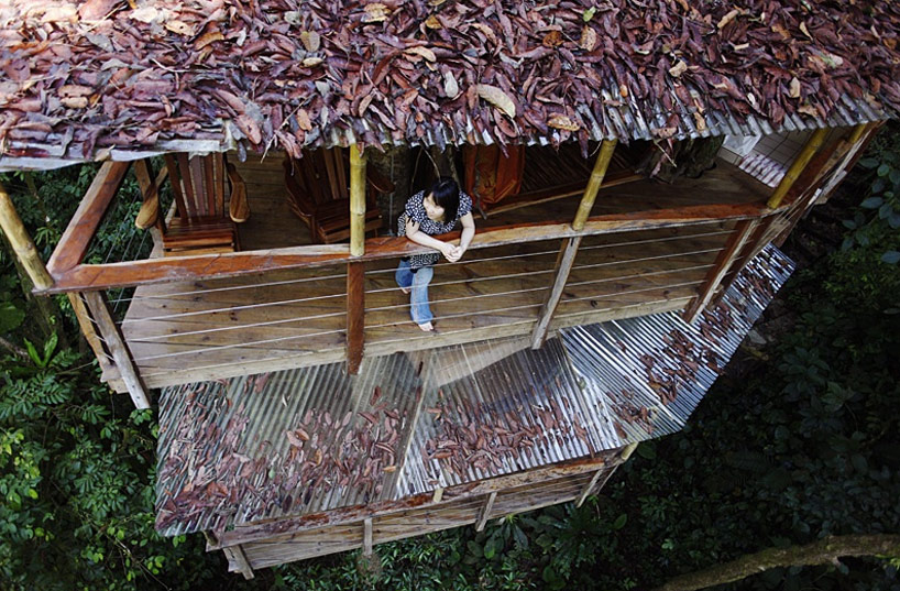 Sustainable TreeHouse8