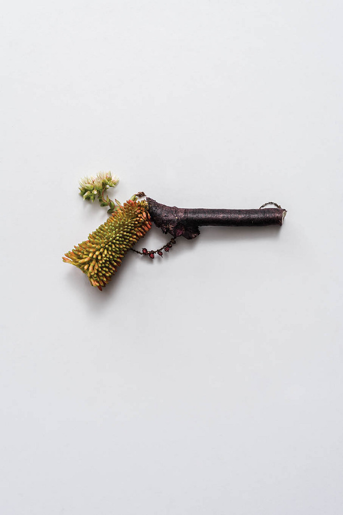 Weapons made of Plants5