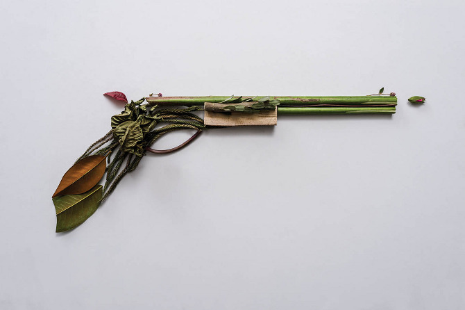 Weapons made of Plants8