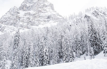 Bianco