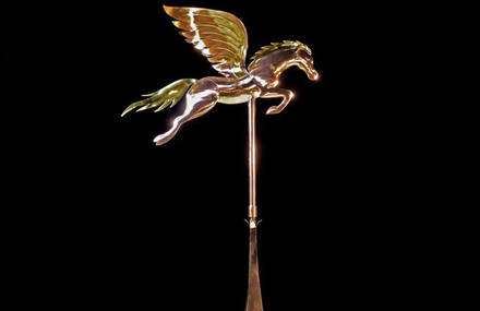 Pegasus