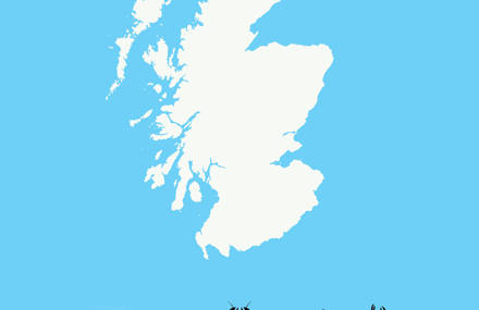 Scottish Seafood Species Illustration