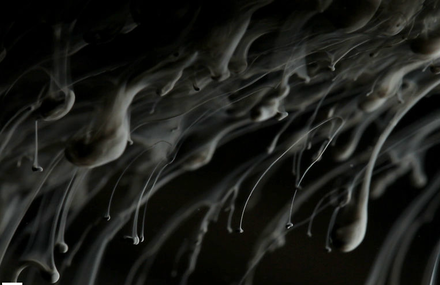 Silk