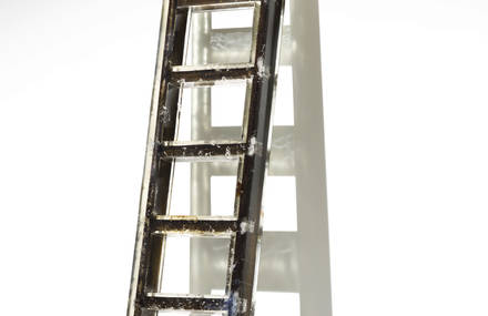 SOUVENIR OF THE LAST CENTURY | LADDER