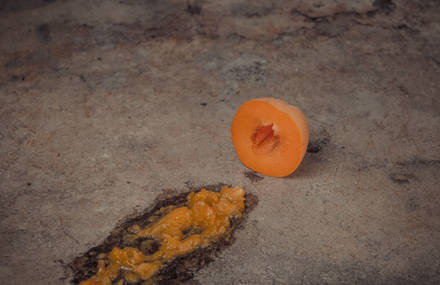 Nature Morte