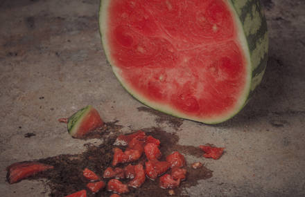 Nature Morte