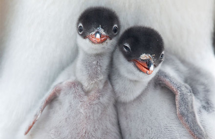 National Geographic 2013 Traveler Contest