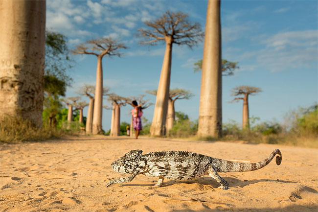 Best of Nation Geographic 2013 Traveler Contest9