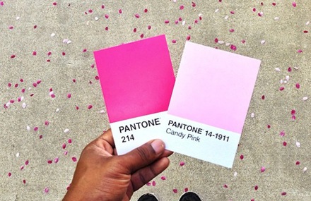 The Pantone Project