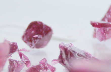 Food film