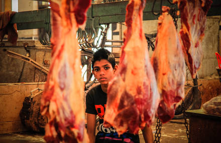 Meat Market