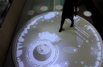 Living Cell: step inside the invisible world of a cell