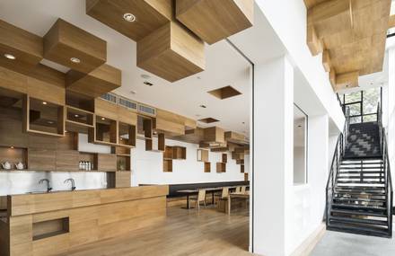 Tony’s Organic House by Playze