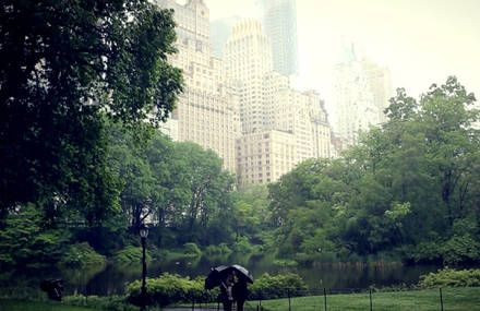 New York In 24h In 240 Seconds
