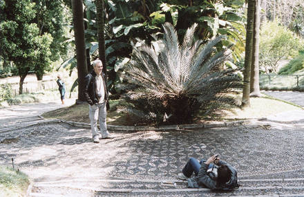 TOURISTES