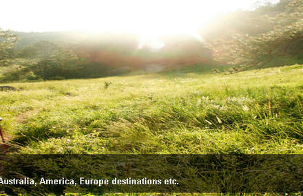 Single Man Europe’s Travel Guide