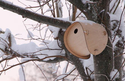 Bird House by SmithMatthias