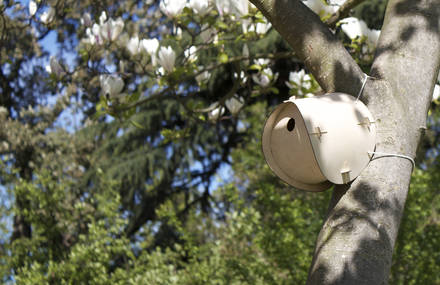 Bird House by SmithMatthias