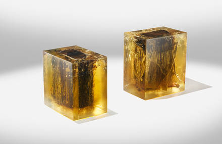 WOOD FOSSIL A.P.2 / A.P.3 | FOR AMMANN GALLERY