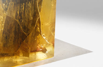 WOOD FOSSIL A.P.2 / A.P.3 | FOR AMMANN GALLERY