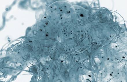 Bubble art photography