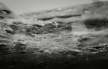 TREMBLEMENT