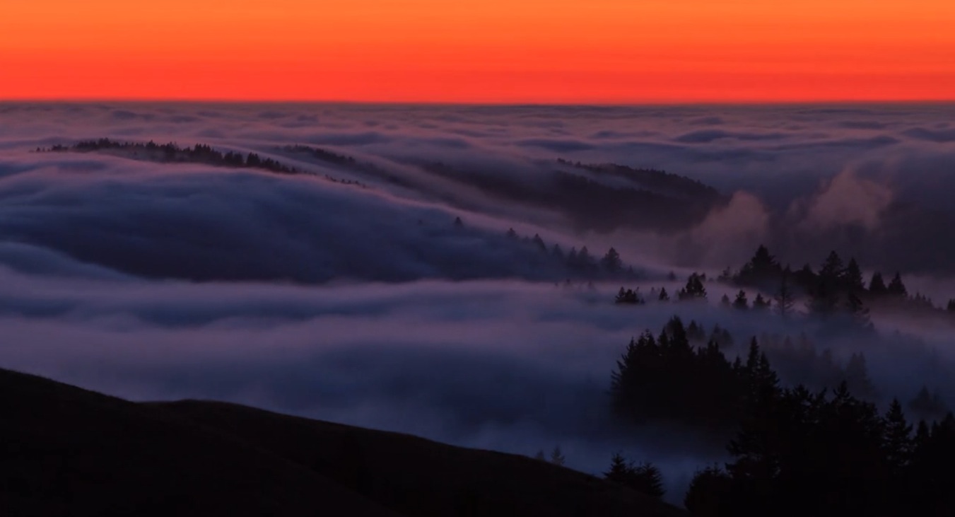Adrift - Fog of San Fransisco4