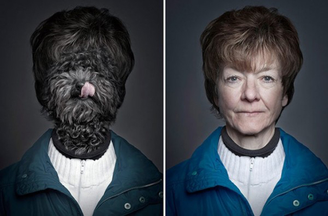 Dogs Dressing Up Like Their Owners