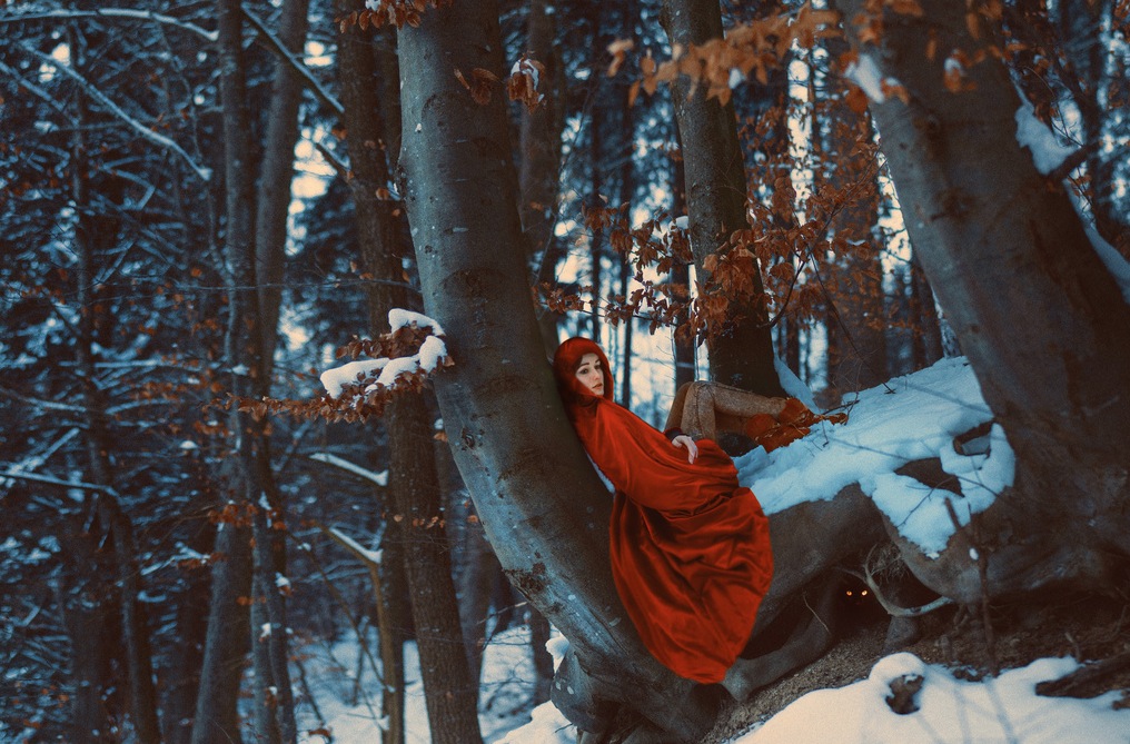 Laura Zelenga Photography14