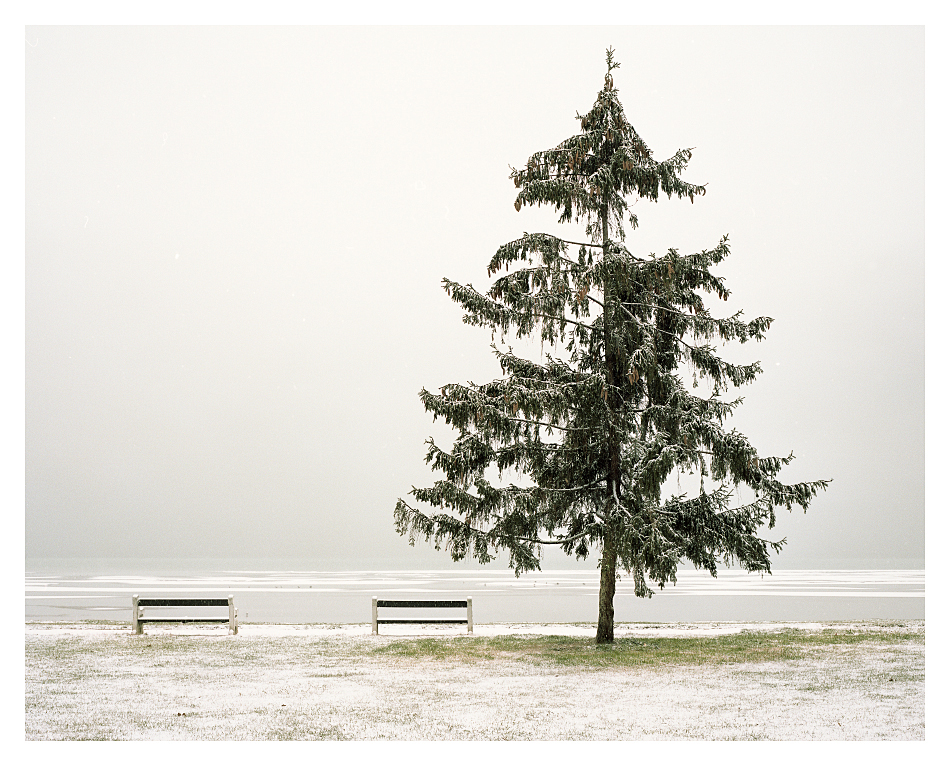Stay by Akos Major-16