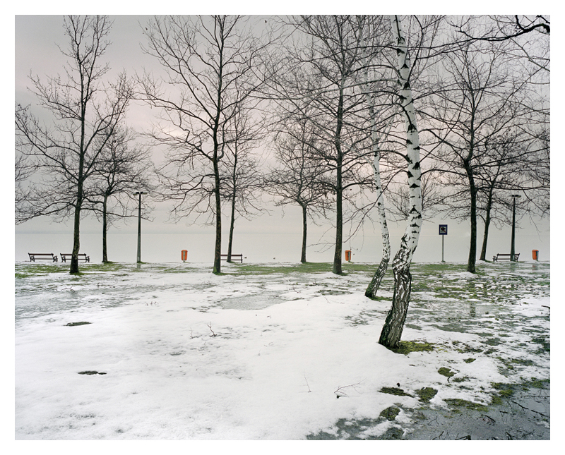 Stay by Akos Major-3