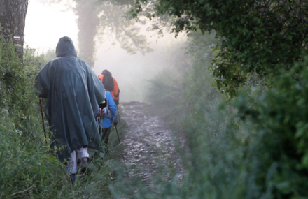 Oxfam Trailwalker 2013