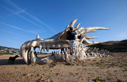 Massive Dragon Skull